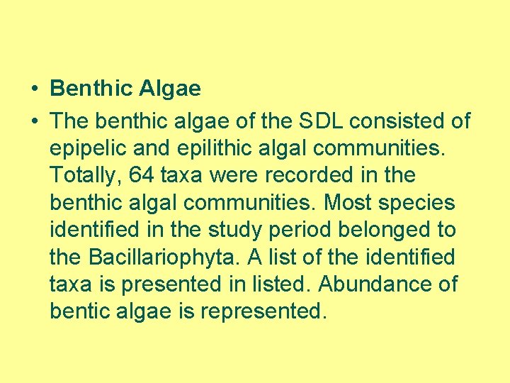  • Benthic Algae • The benthic algae of the SDL consisted of epipelic