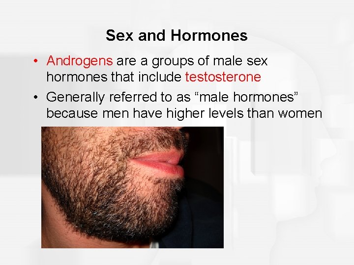 Sex and Hormones • Androgens are a groups of male sex hormones that include