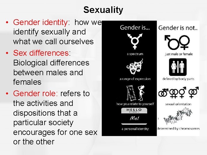Sexuality • Gender identity: how we identify sexually and what we call ourselves •