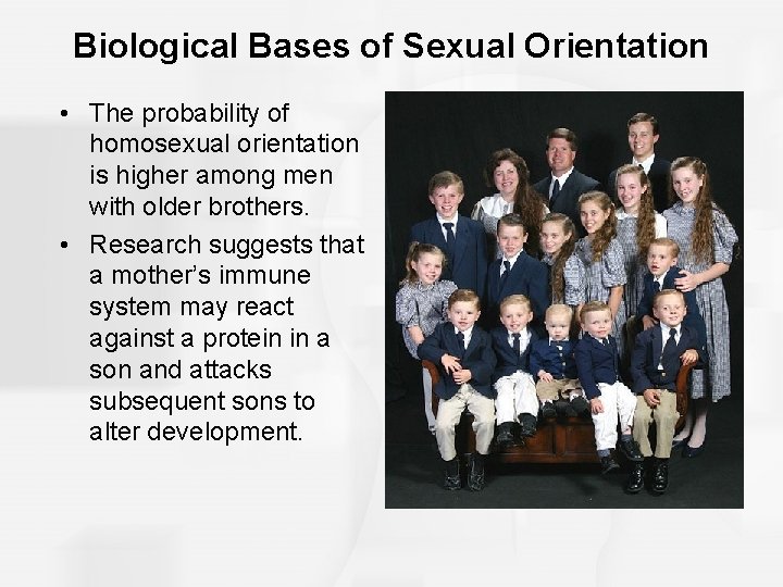 Biological Bases of Sexual Orientation • The probability of homosexual orientation is higher among