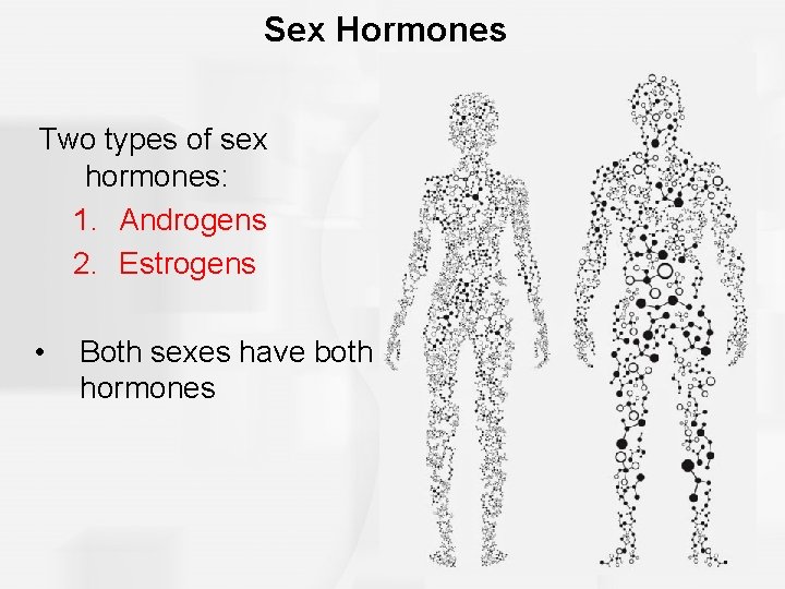 Sex Hormones Two types of sex hormones: 1. Androgens 2. Estrogens • Both sexes