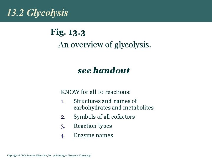 13. 2 Glycolysis Fig. 13. 3 An overview of glycolysis. see handout KNOW for