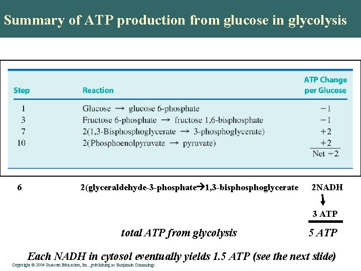 Summary of ATP production from glucose in glycolysis Table 24. 1 6 2(glyceraldehyde-3 -phosphate