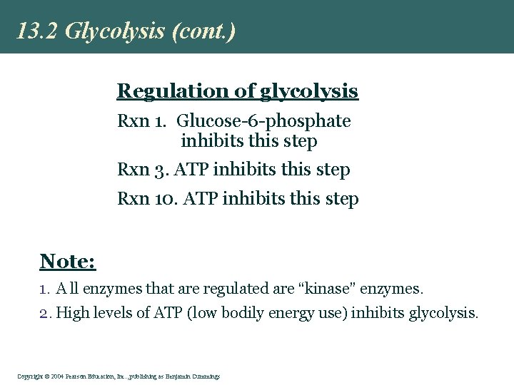 13. 2 Glycolysis (cont. ) Regulation of glycolysis Rxn 1. Glucose-6 -phosphate inhibits this