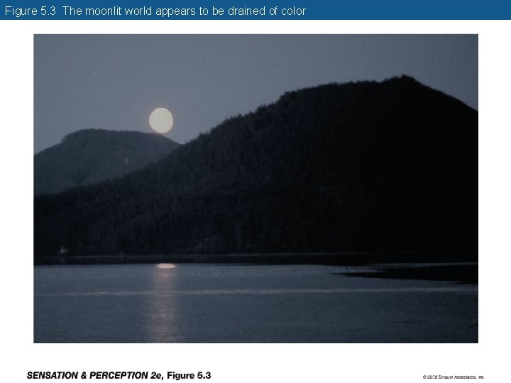 Figure 5. 3 The moonlit world appears to be drained of color Figure 5. 3 The moonlit world appears to be drained of color