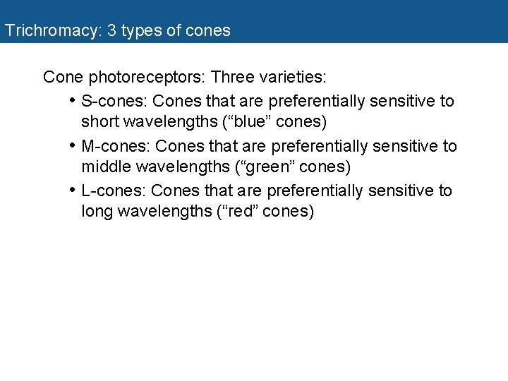 Trichromacy: 3 types of cones Cone photoreceptors: Three varieties: • S-cones: Cones that are