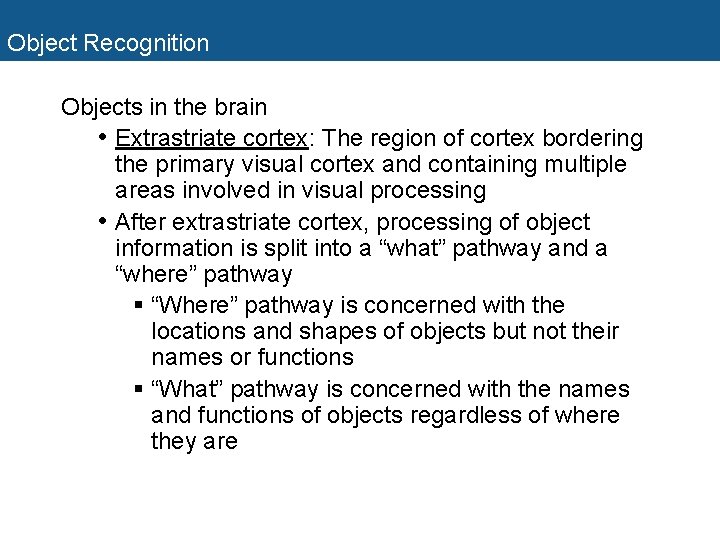 Object Recognition Objects in the brain • Extrastriate cortex: The region of cortex bordering