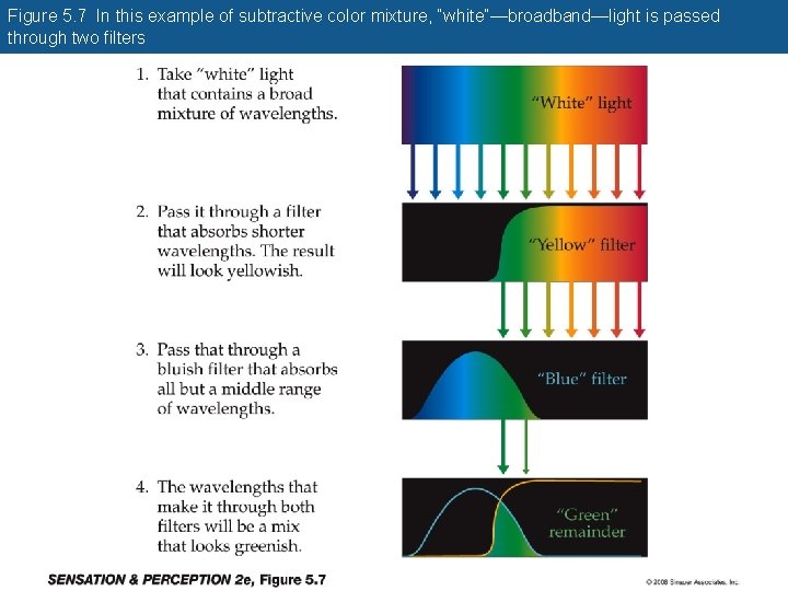 Figure 5. 7 In this example of subtractive color mixture, “white”—broadband—light is passed through