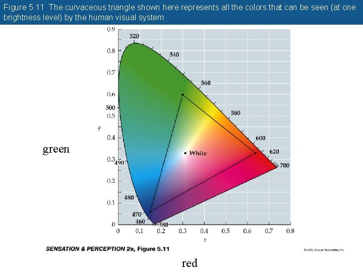 Figure 5. 11 The curvaceous triangle shown here represents all the colors that can