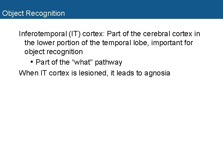 Object Recognition Inferotemporal (IT) cortex: Part of the cerebral cortex in the lower portion Object Recognition Inferotemporal (IT) cortex: Part of the cerebral cortex in the lower portion
