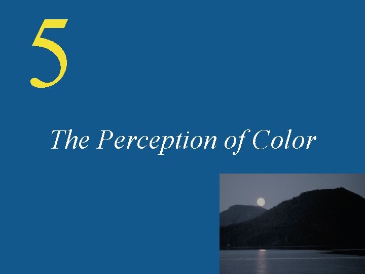 5 The Perception of Color 5 The Perception of Color