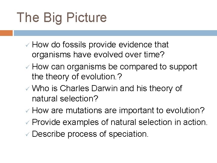 The Big Picture ü How do fossils provide evidence that organisms have evolved over
