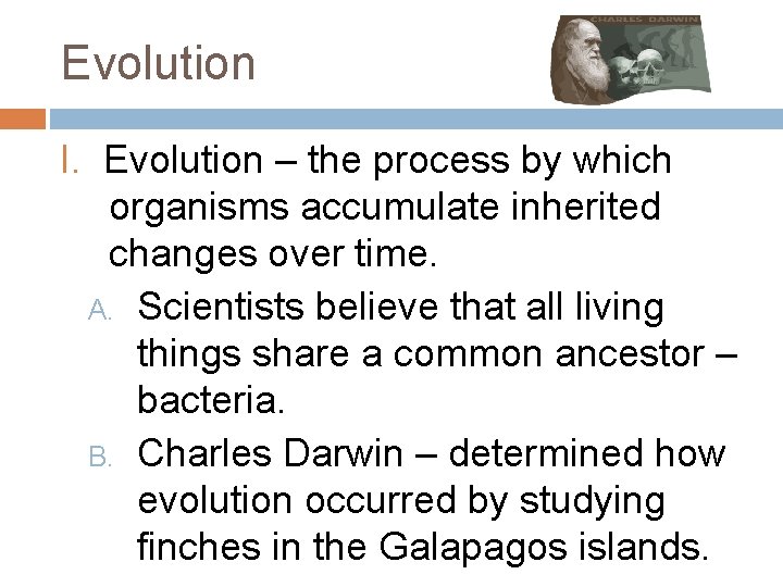 Evolution I. Evolution – the process by which organisms accumulate inherited changes over time.