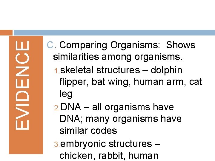 EVIDENCE C. Comparing Organisms: Shows similarities among organisms. 1. skeletal structures – dolphin flipper,
