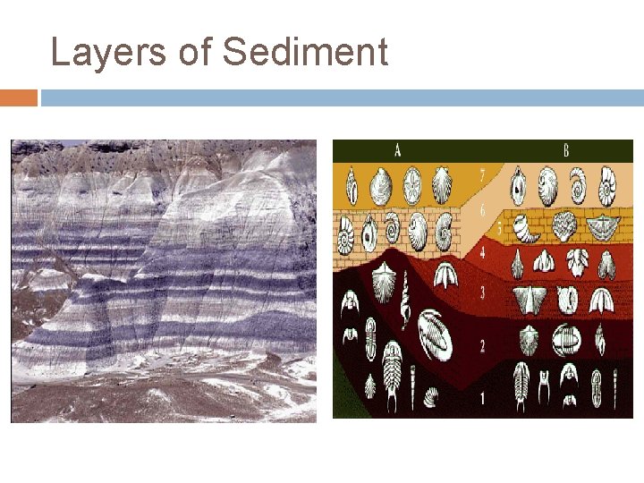Layers of Sediment 