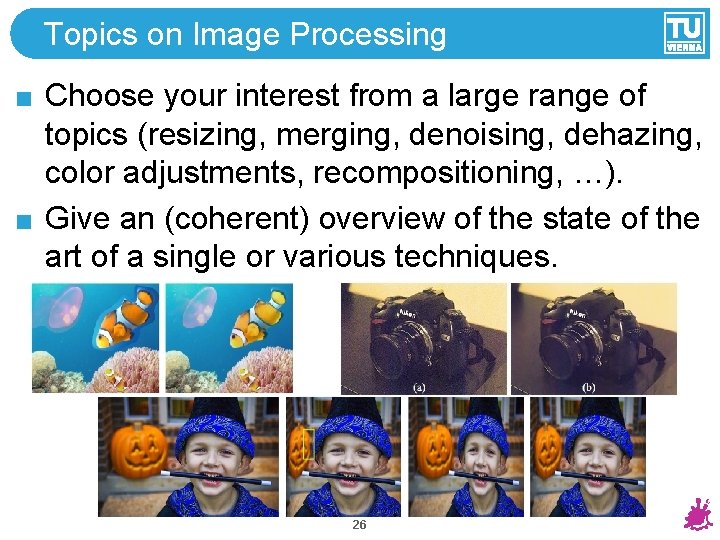 Topics on Image Processing Choose your interest from a large range of topics (resizing,