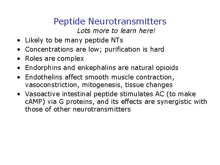 Peptide Neurotransmitters • • • Lots more to learn here! Likely to be many