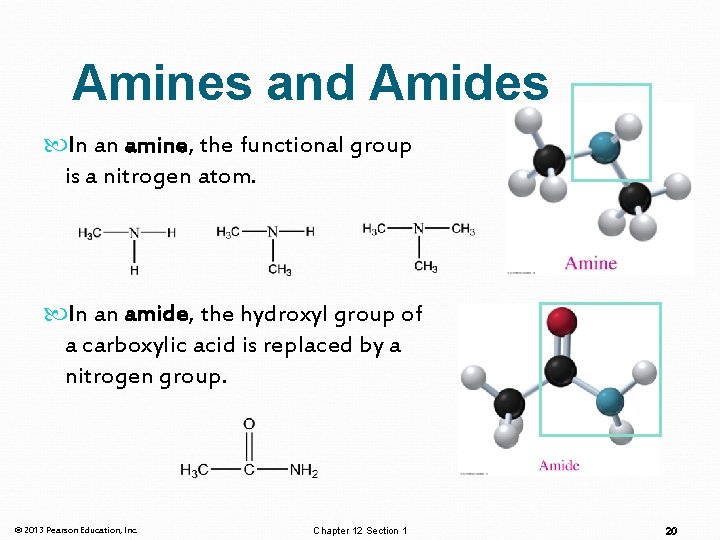 Amines and Amides In an amine, the functional group is a nitrogen atom. In