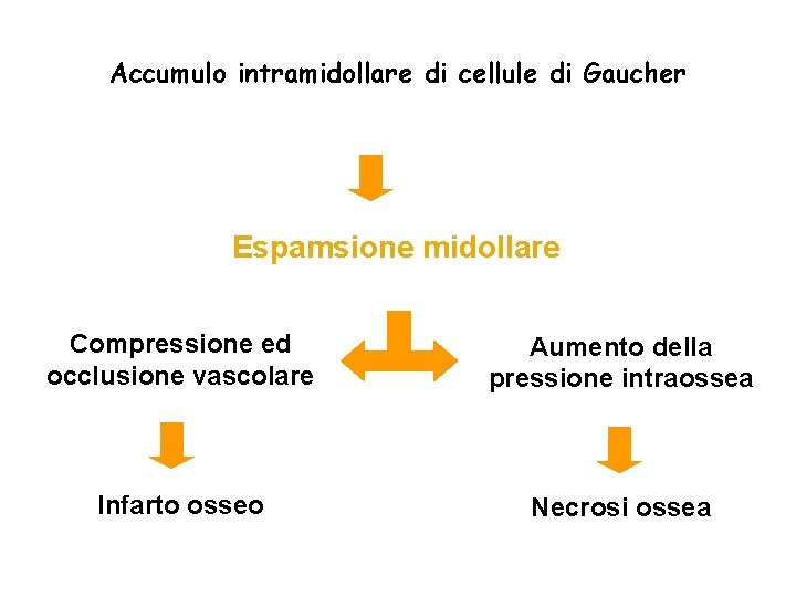 Accumulo intramidollare di cellule di Gaucher Espamsione midollare Compressione ed occlusione vascolare Aumento della