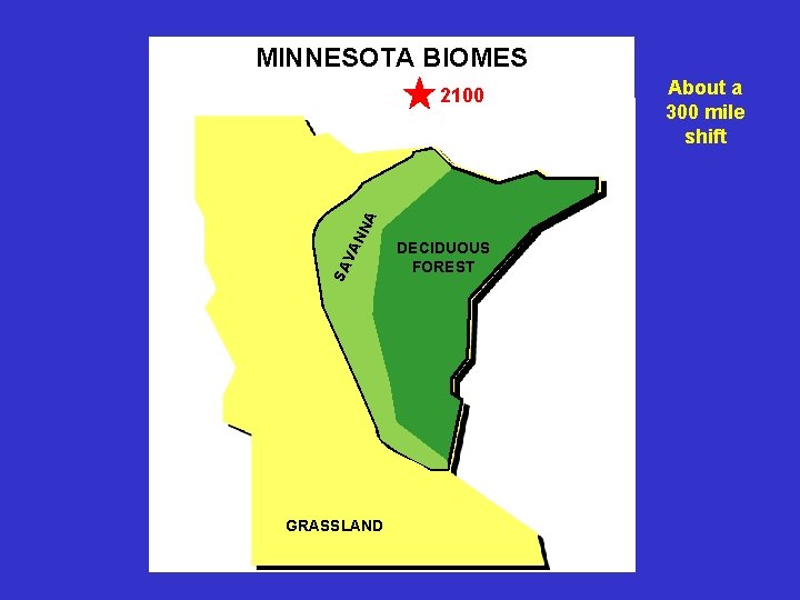 MINNESOTA BIOMES SA VA N NA 2100 GRASSLAND DECIDUOUS FOREST About a 300 mile