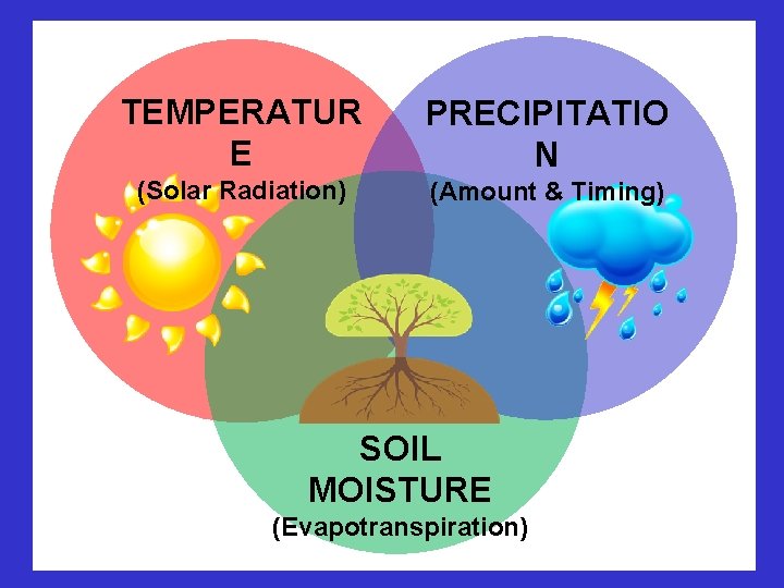 TEMPERATUR E PRECIPITATIO N (Solar Radiation) (Amount & Timing) SOIL MOISTURE (Evapotranspiration) 