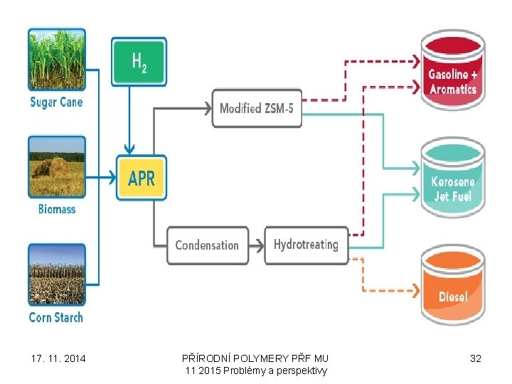 17. 11. 2014 PŘÍRODNÍ POLYMERY PŘF MU 11 2015 Problémy a perspektivy 32 