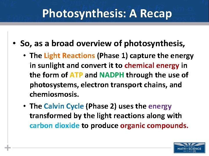 Photosynthesis: A Recap • So, as a broad overview of photosynthesis, • The Light