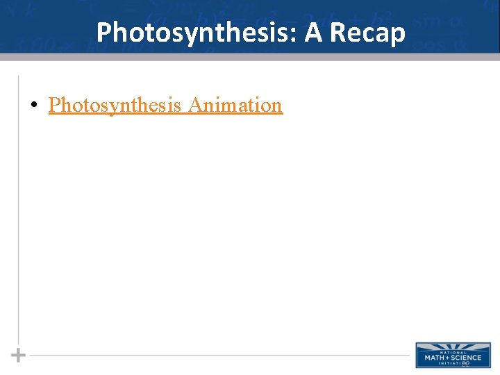 Photosynthesis: A Recap • Photosynthesis Animation 22 