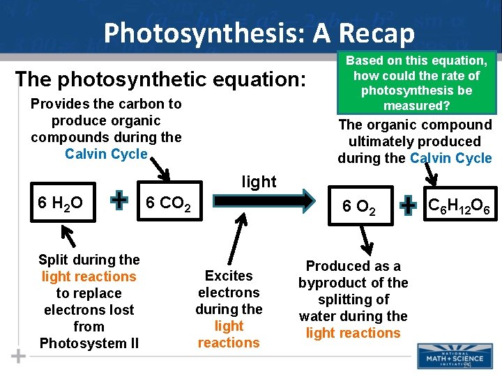 Photosynthesis: A Recap The photosynthetic equation: Provides the carbon to produce organic compounds during