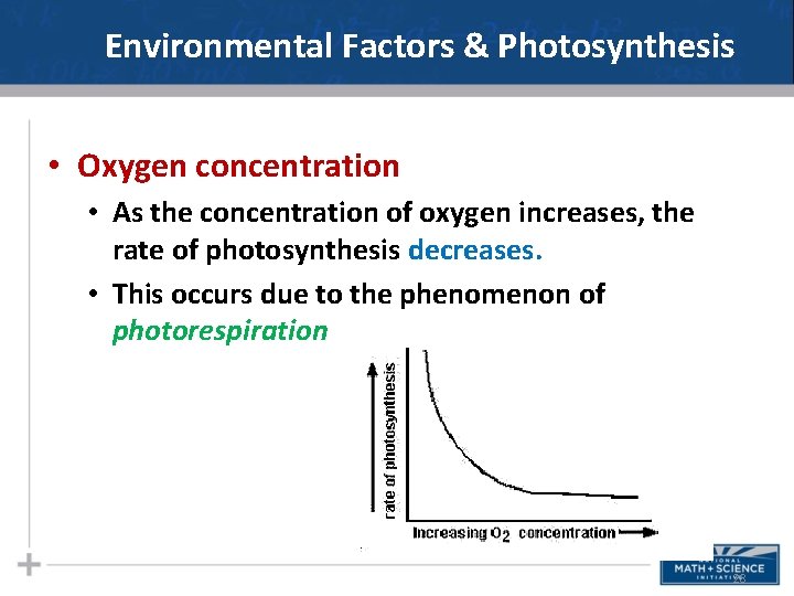 Environmental Factors & Photosynthesis • Oxygen concentration • As the concentration of oxygen increases,