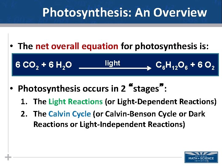 Photosynthesis: An Overview • The net overall equation for photosynthesis is: 6 CO 2