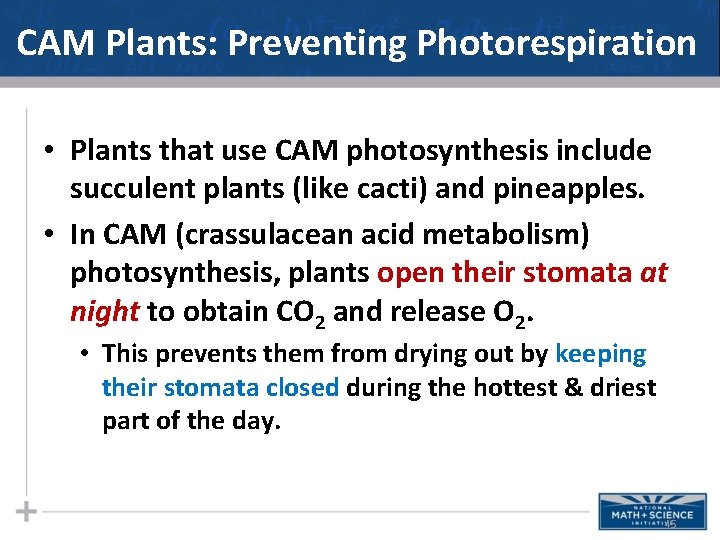 CAM Plants: Preventing Photorespiration • Plants that use CAM photosynthesis include succulent plants (like