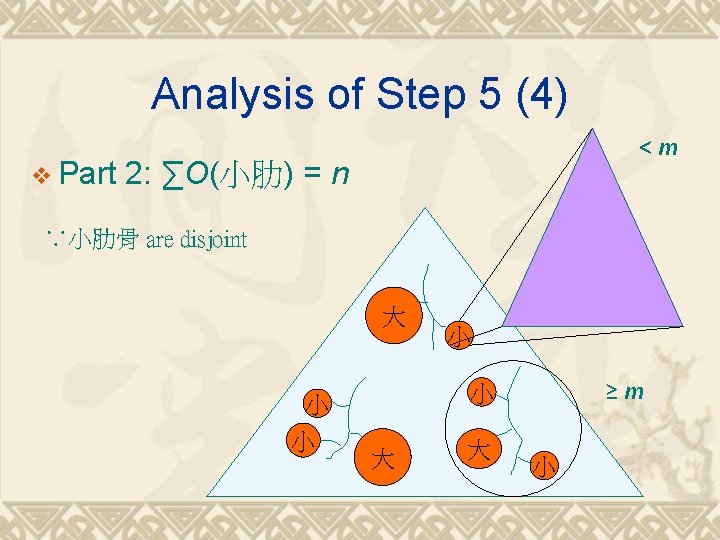 Analysis of Step 5 (4) v Part <m 2: ∑O(小肋) = n ∵小肋骨 are