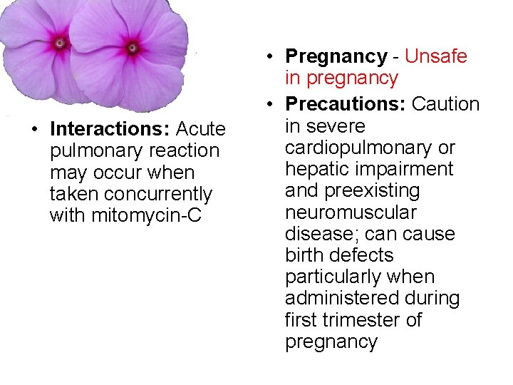  • Interactions: Acute pulmonary reaction may occur when taken concurrently with mitomycin-C •