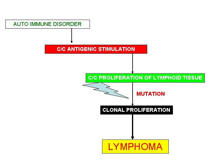 AUTO IMMUNE DISORDER C/C ANTIGENIC STIMULATION C/C PROLIFERATION OF LYMPHOID TISSUE MUTATION CLONAL PROLIFERATION