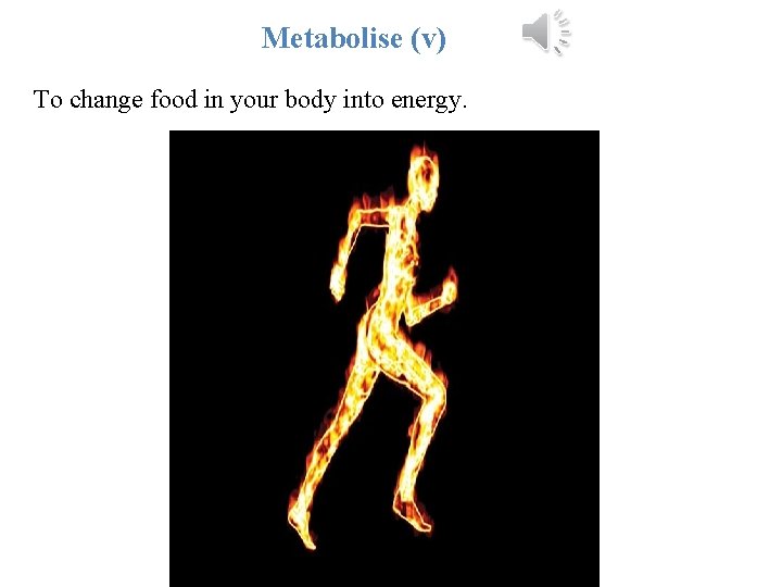 Metabolise (v) To change food in your body into energy. 