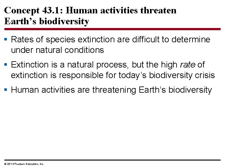 Concept 43. 1: Human activities threaten Earth’s biodiversity § Rates of species extinction are