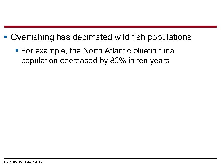 § Overfishing has decimated wild fish populations § For example, the North Atlantic bluefin