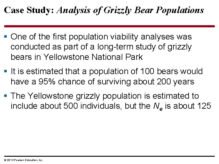 Case Study: Analysis of Grizzly Bear Populations § One of the first population viability