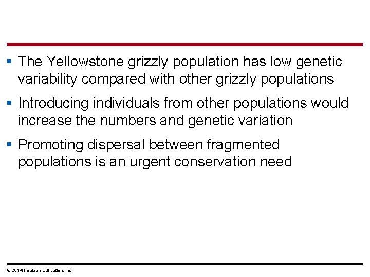 § The Yellowstone grizzly population has low genetic variability compared with other grizzly populations