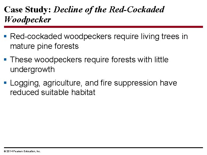 Case Study: Decline of the Red-Cockaded Woodpecker § Red-cockaded woodpeckers require living trees in