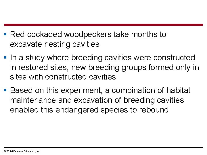 § Red-cockaded woodpeckers take months to excavate nesting cavities § In a study where
