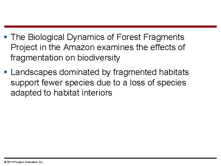 § The Biological Dynamics of Forest Fragments Project in the Amazon examines the effects