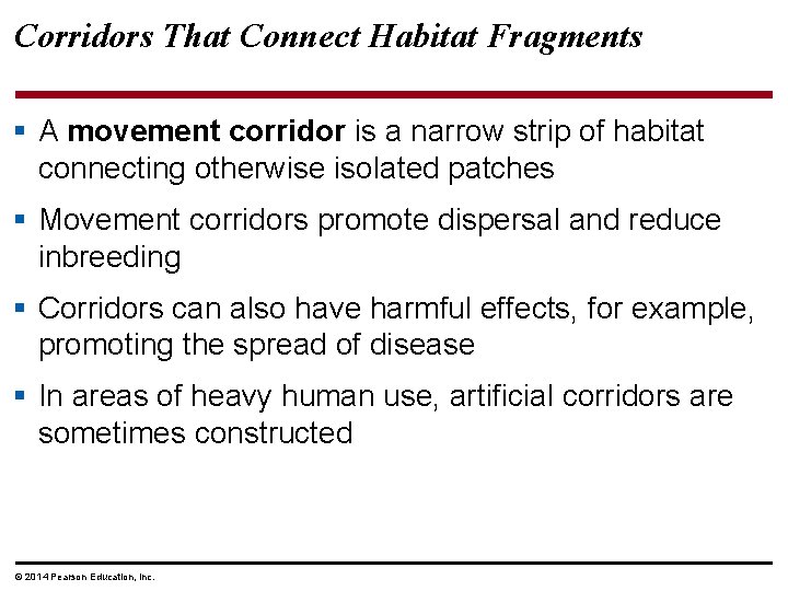 Corridors That Connect Habitat Fragments § A movement corridor is a narrow strip of