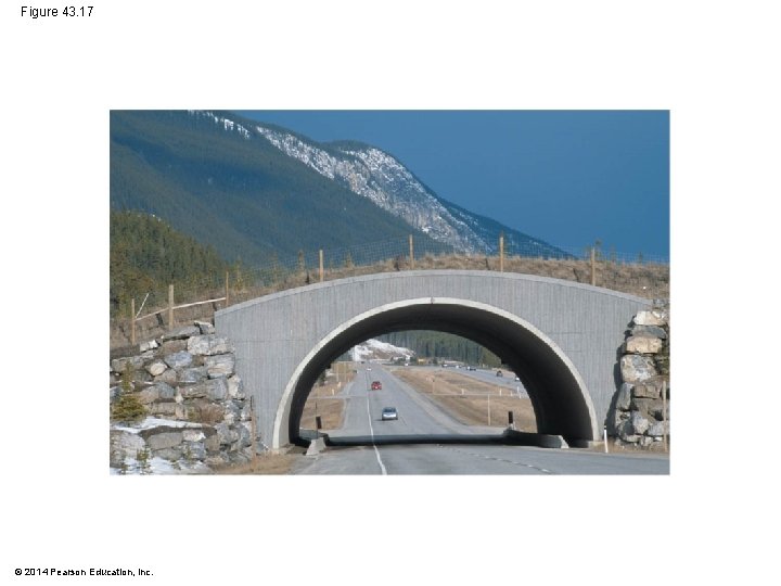 Figure 43. 17 © 2014 Pearson Education, Inc. 