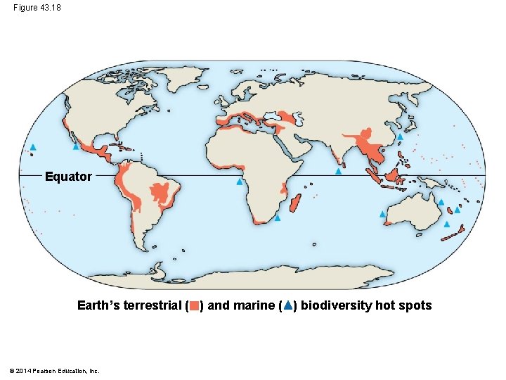 Figure 43. 18 Equator Earth’s terrestrial ( ) and marine ( ) biodiversity hot