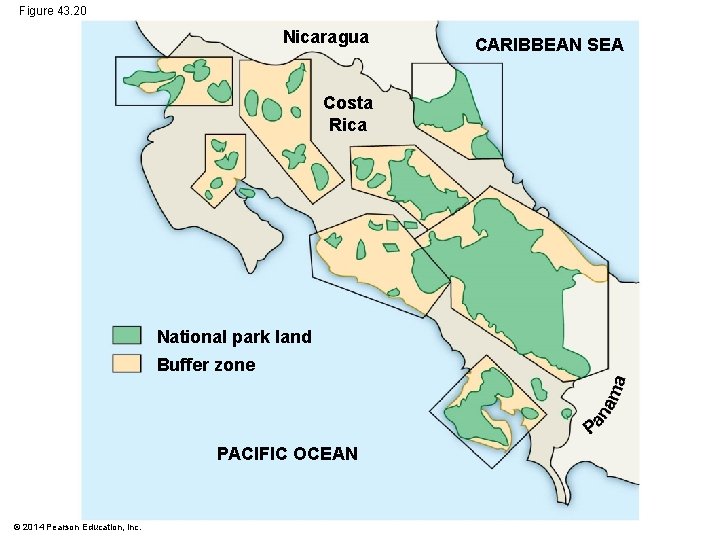 Figure 43. 20 Nicaragua Costa Rica National park land Buffer zone PACIFIC OCEAN ©