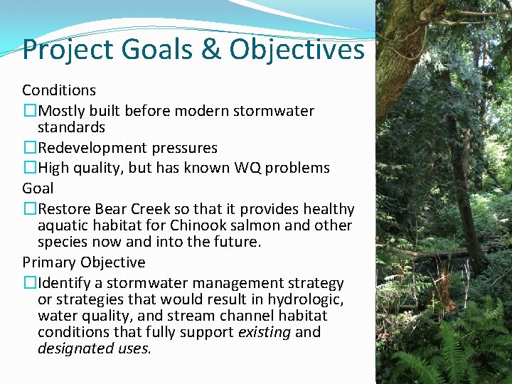 Project Goals & Objectives Conditions �Mostly built before modern stormwater standards �Redevelopment pressures �High