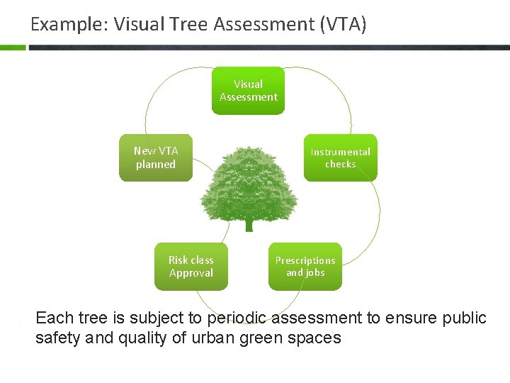Example: Visual Tree Assessment (VTA) Visual Assessment New VTA planned Risk class Approval Instrumental