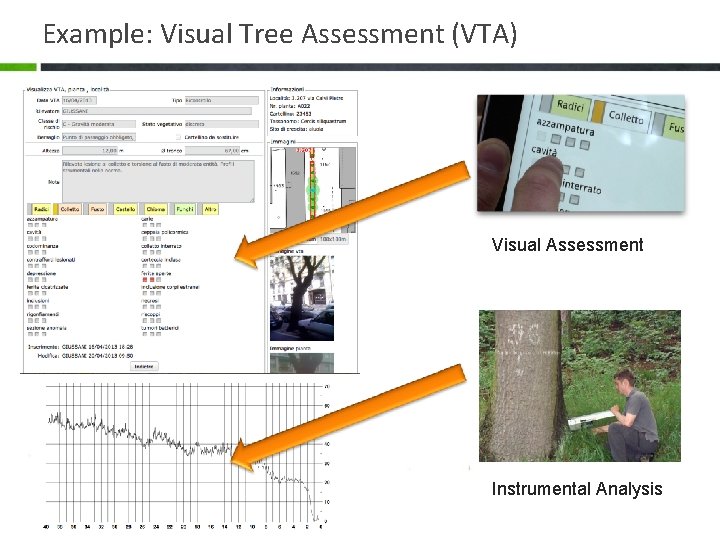 Example: Visual Tree Assessment (VTA) Visual Assessment Instrumental Analysis 